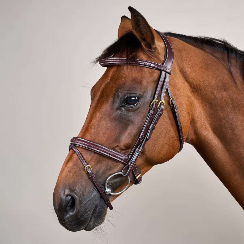 Dyon Hoofdstel Gewoven Bruin