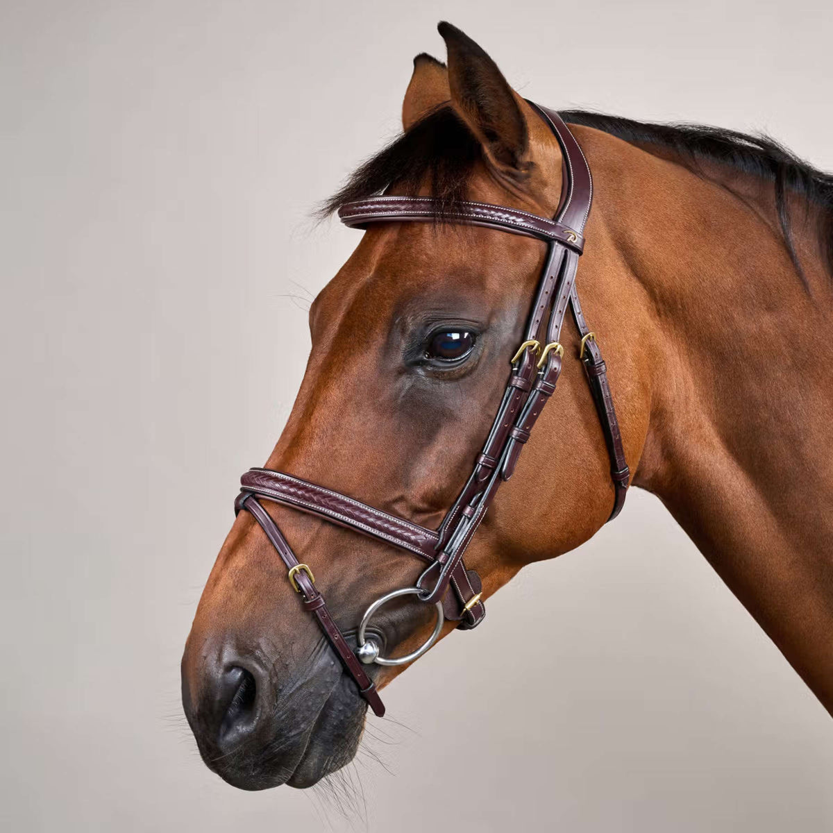 Dyon Hoofdstel Gewoven Bruin