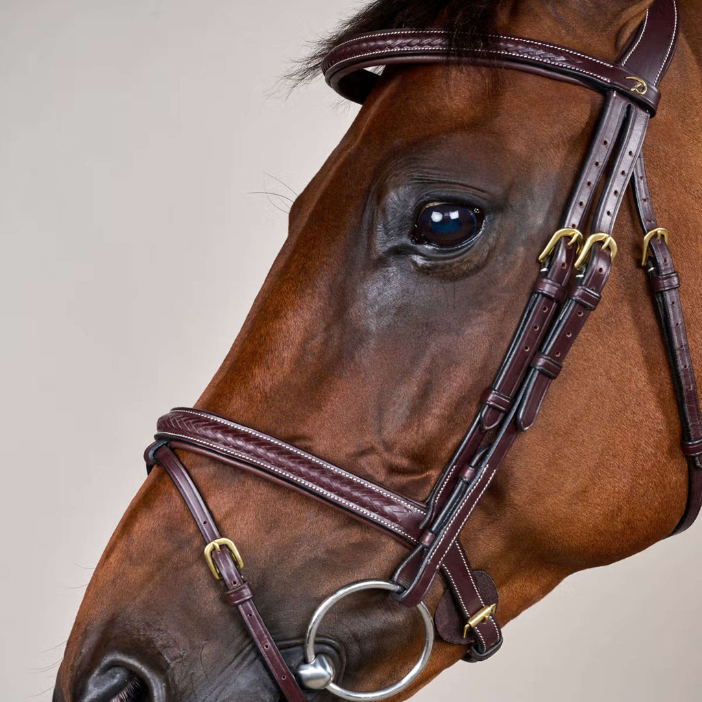 Dyon Hoofdstel Gewoven Bruin