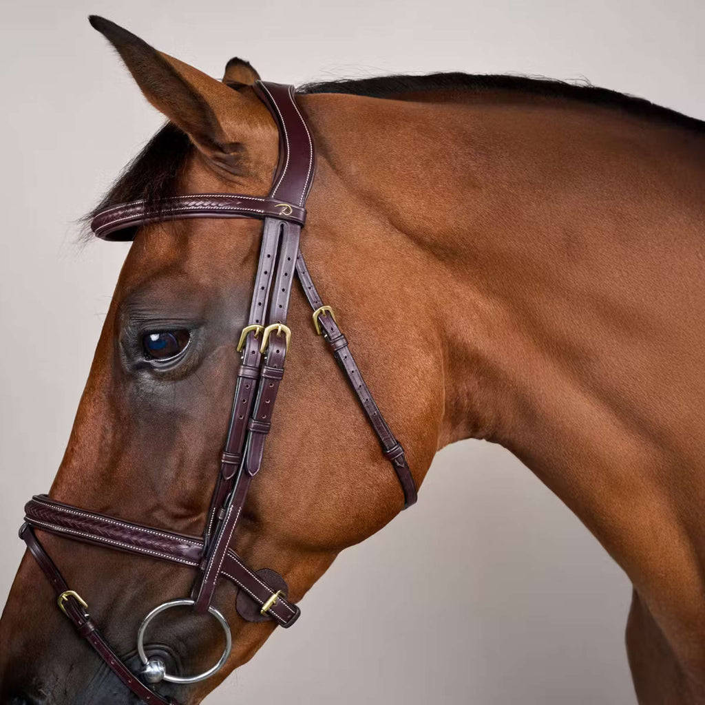 Dyon Hoofdstel Gewoven Bruin