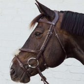 Dyon Mexicaanse Neusriem Gevlochten Bruin