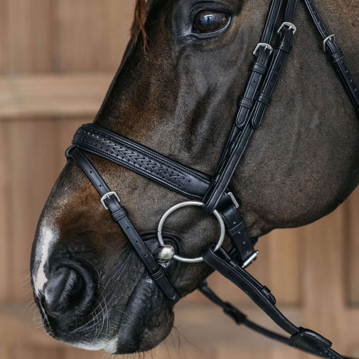 Dyon Neusriem Flash Pull-Back Gevlochten Zwart