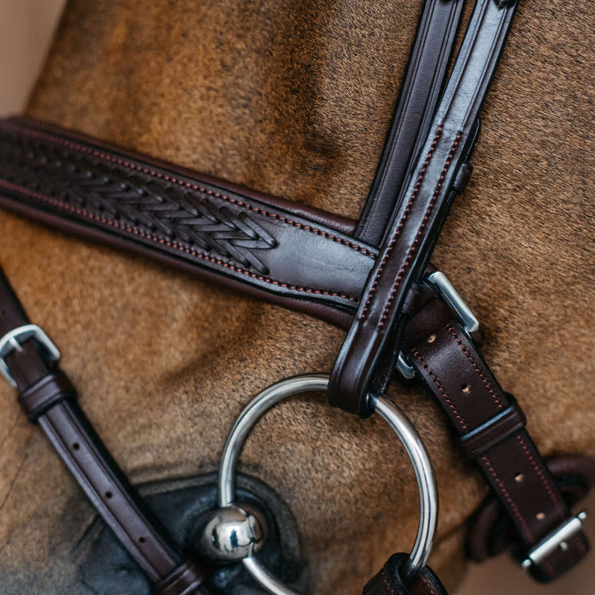 Dyon Neusriem Flash Pull-Back Gevlochten Bruin