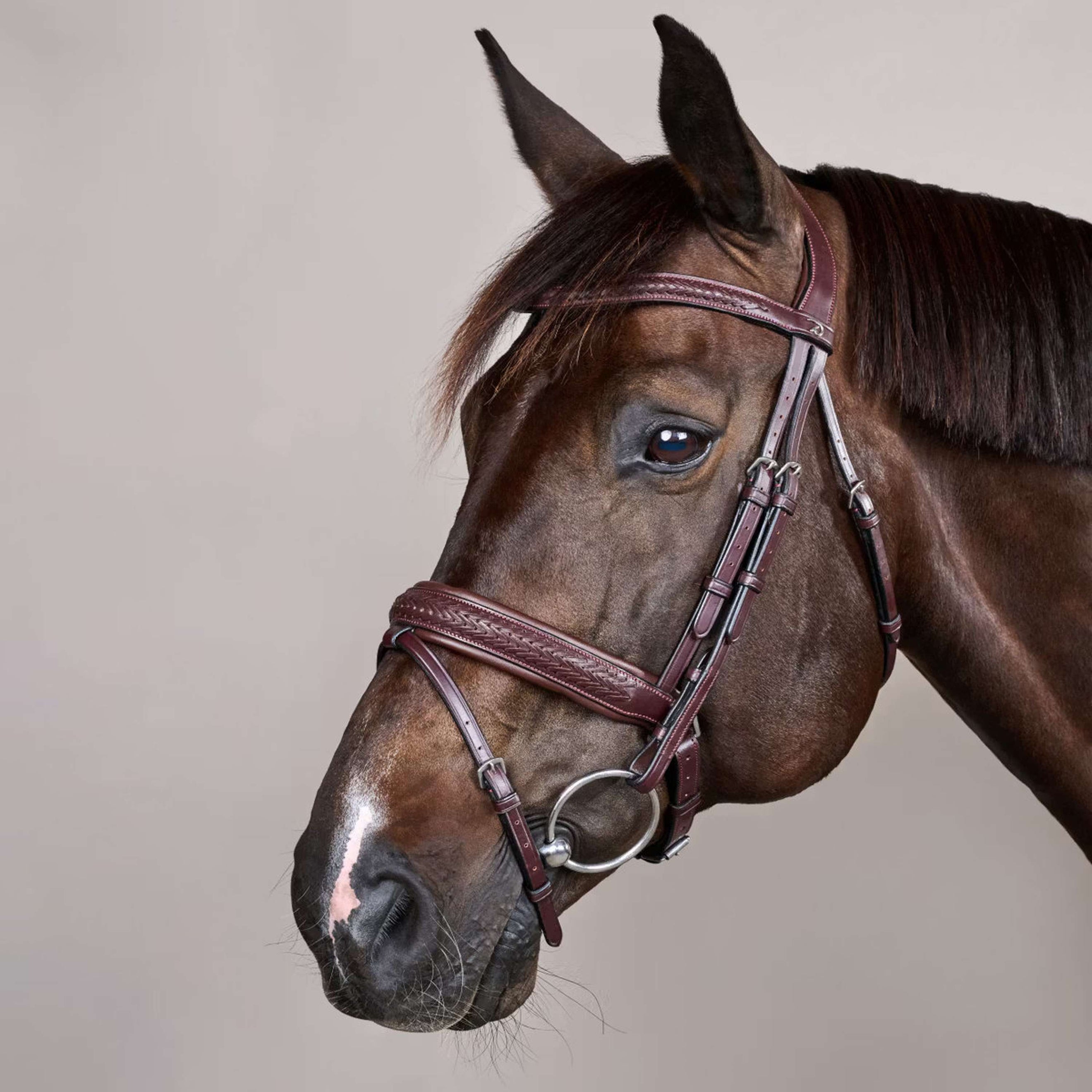 Dyon Hoofdstel Flash Pull-Back Gevlochten Bruin Dyon Hoofdstel Flash Pull-Back Gevlochten Bruin