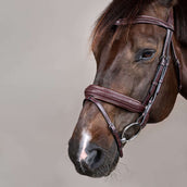 Dyon Hoofdstel Flash Pull-Back Gevlochten Bruin