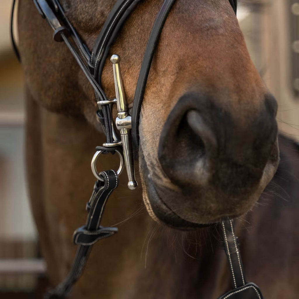Dyon Gag Ropes US Collection Zwart