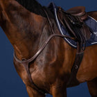 Dyon Borsttuig Long Bridge Bruin/Zilver
