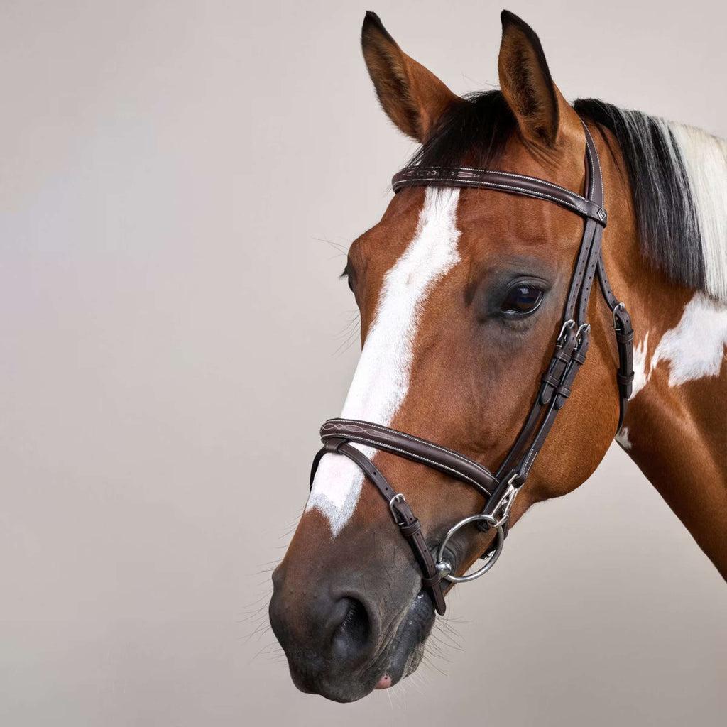 Dyon Hoofdstel Flash met Clips Bruin