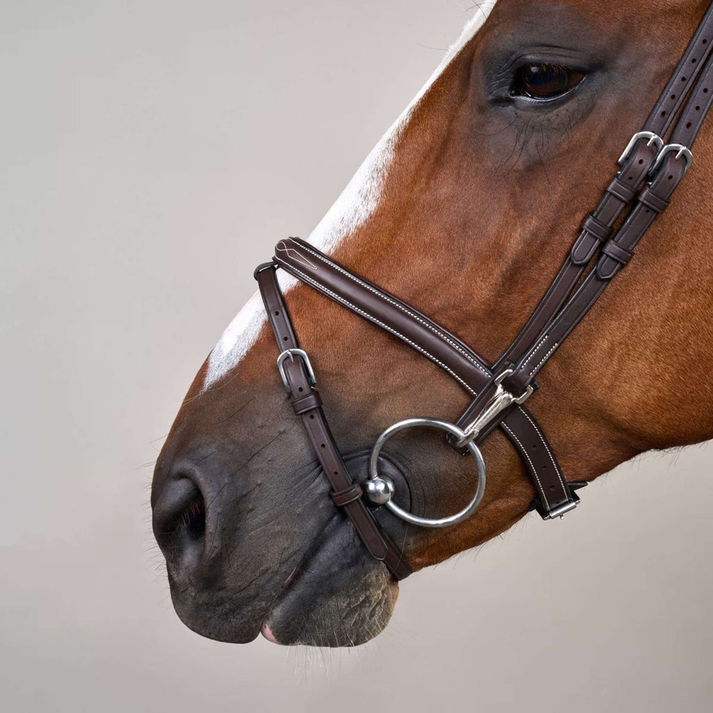 Dyon Hoofdstel Flash met Clips Bruin