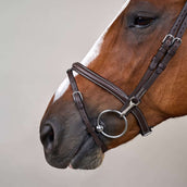 Dyon Hoofdstel Flash met Clips Bruin