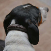 Dyon Halsband Gevlochten Bruin