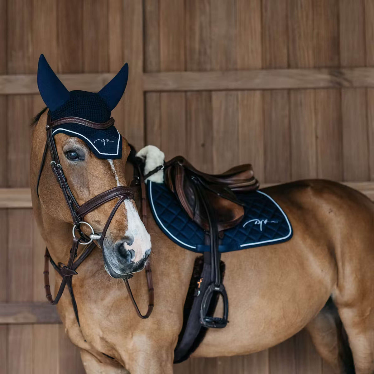 Dyon Oornetje Diamond Soundless Navy