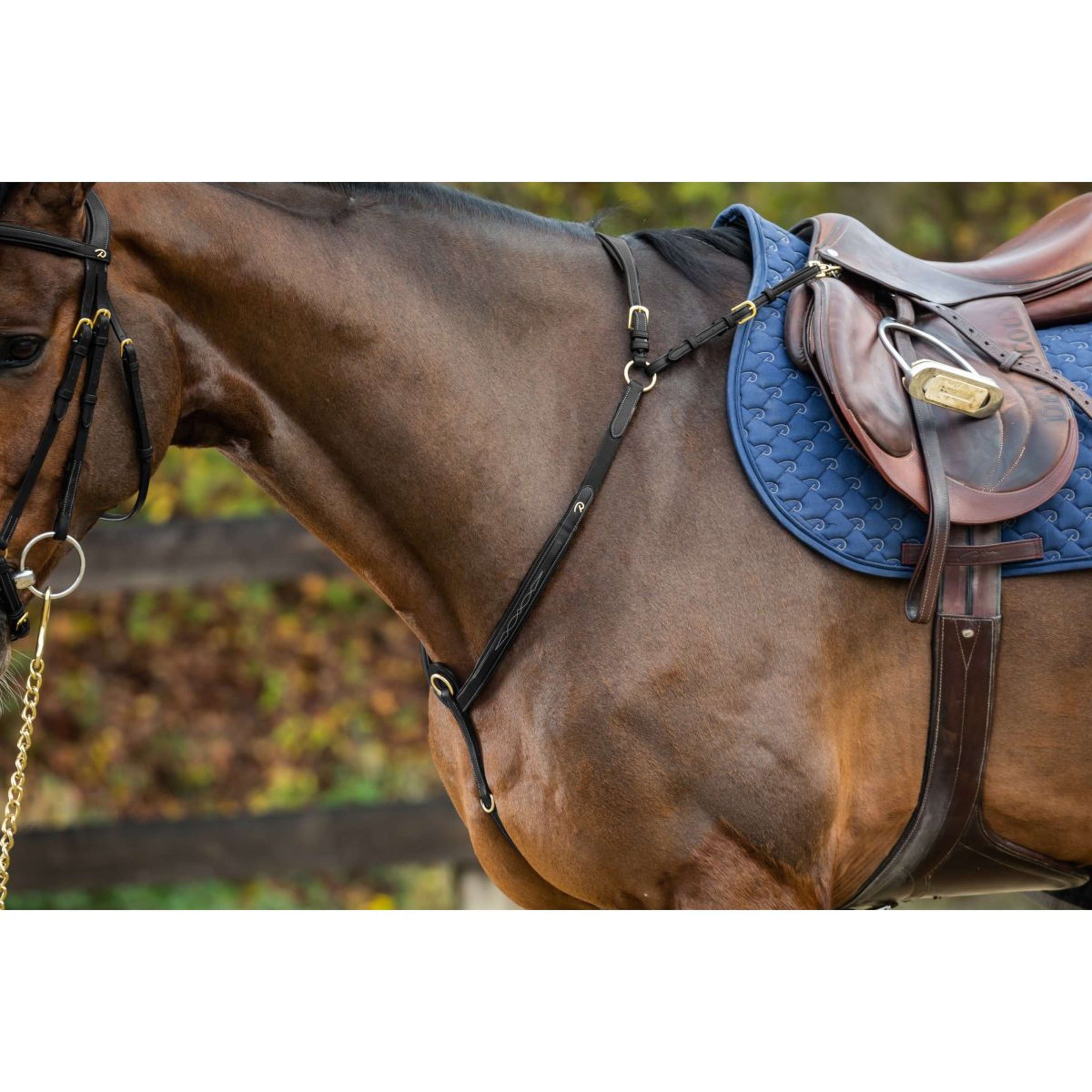 Dyon Borsttuig Bridge Zwart/Messing