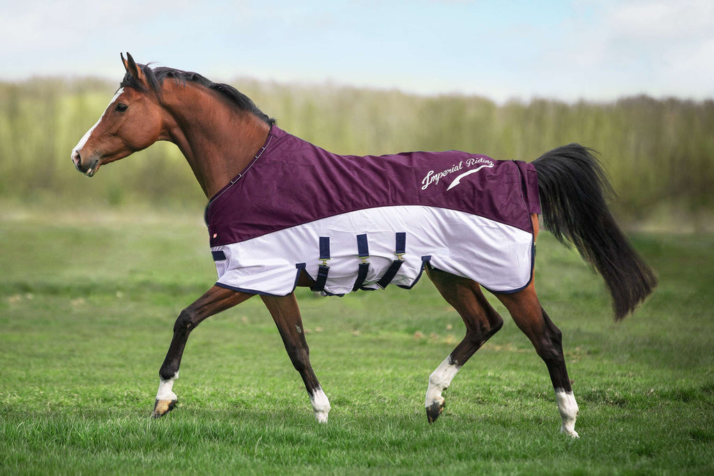 Imperial Riding Vliegen- en Regendeken IRHSuper-Dry Bordeaux