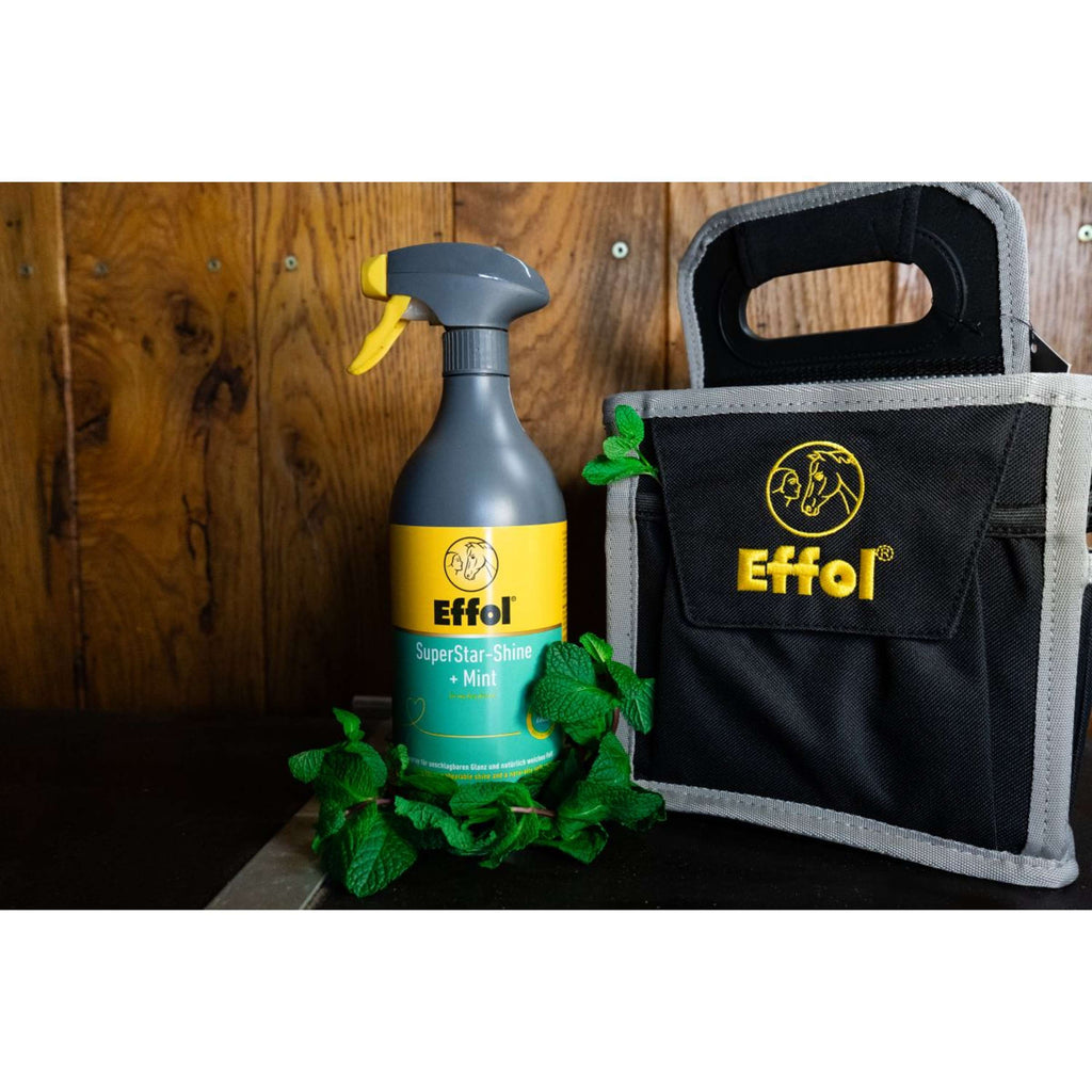 Effol Glansspray SuperStar Mint