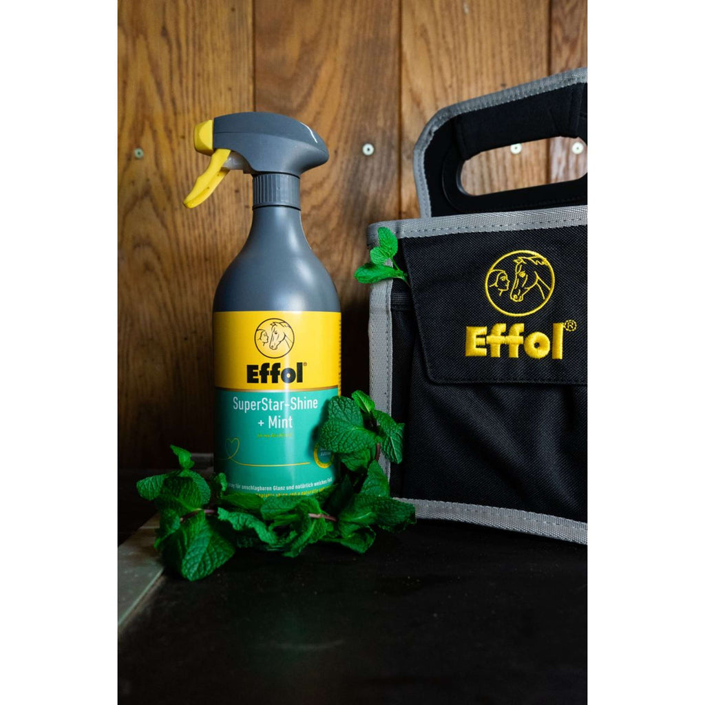 Effol Glansspray SuperStar Mint
