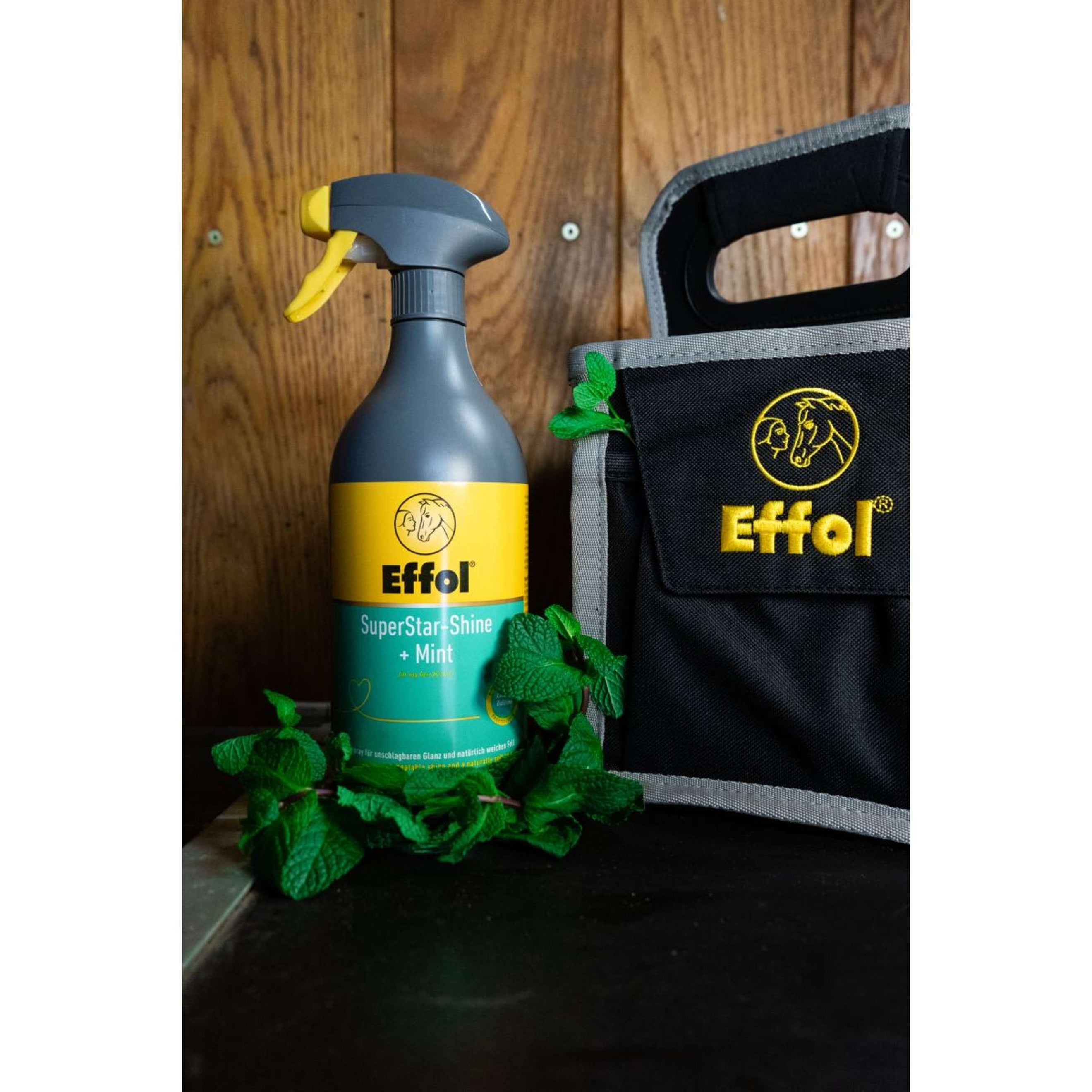 Effol Glansspray SuperStar Mint