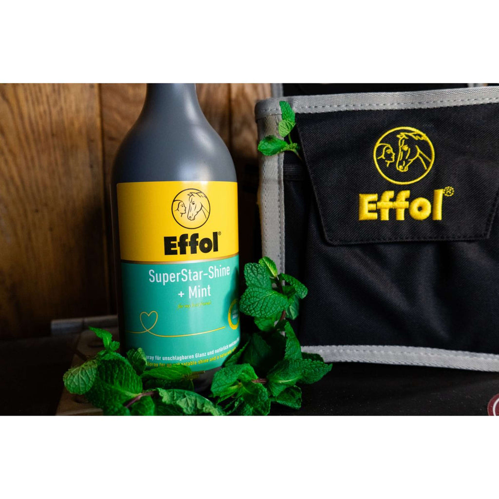 Effol Glansspray SuperStar Mint