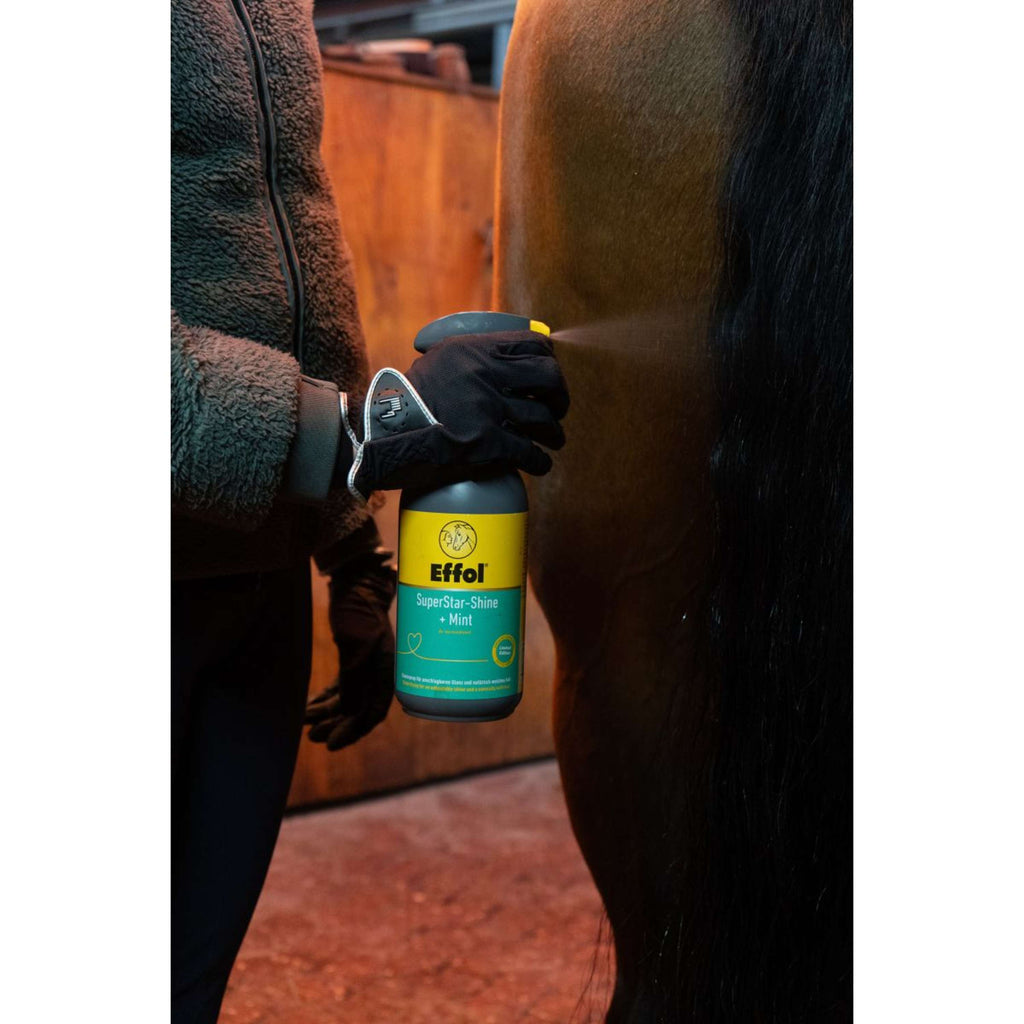 Effol Glansspray SuperStar Mint