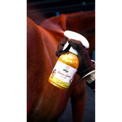 Effol Glansspray Kids Star Gold