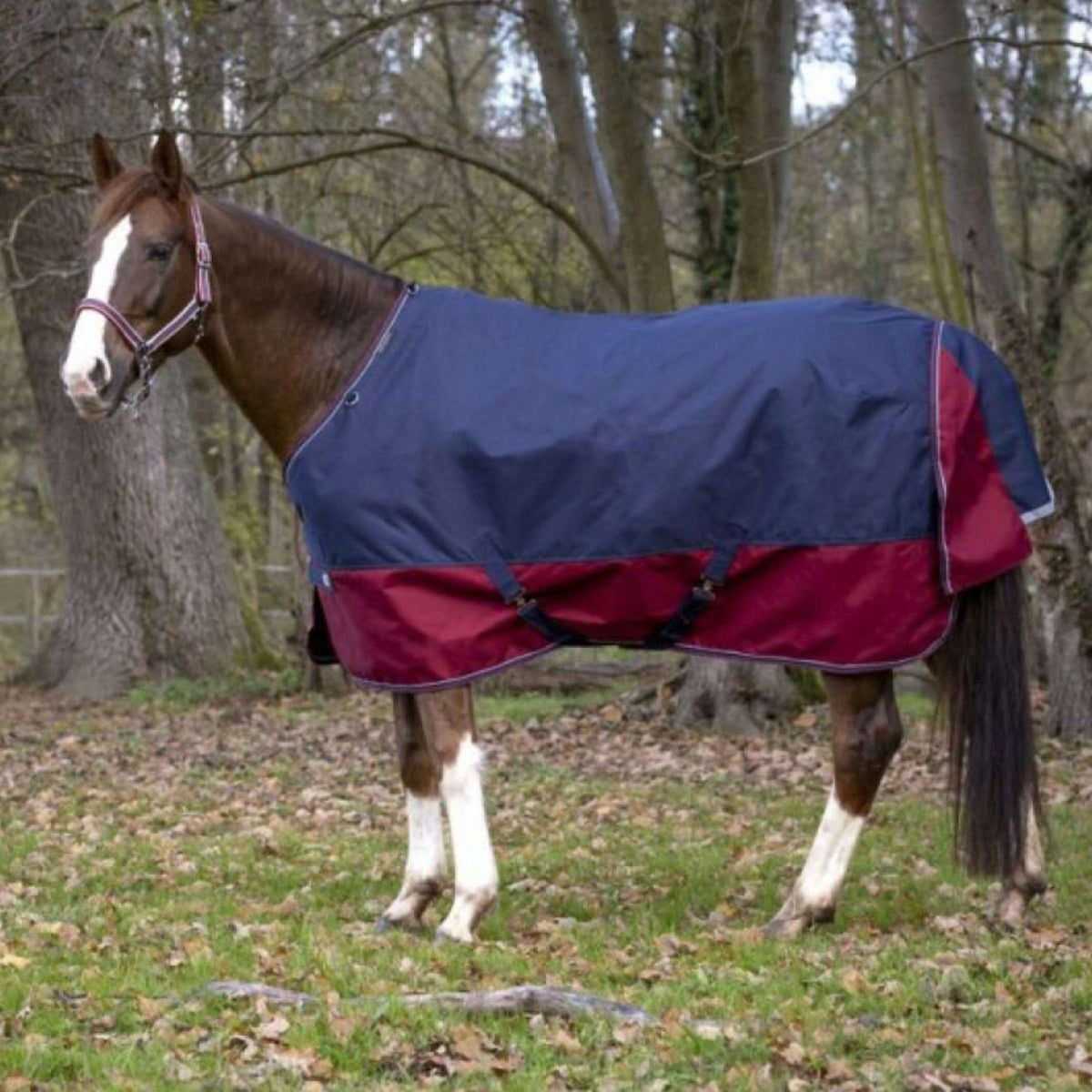 EQUITHÈME Outdoordeken Tyrex 1200D 50g Navy/Bordeaux