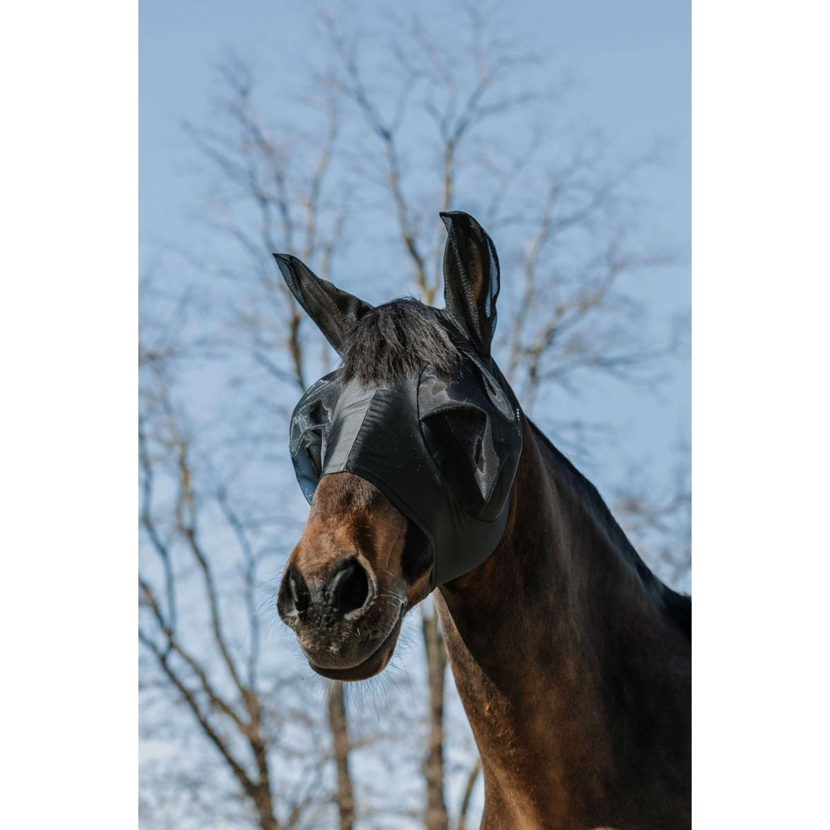 EQUITHÈME Vliegenmasker Lycra met UV-Bescherming Zwart