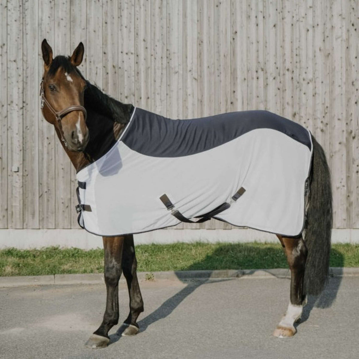 EQUITHÈME Vliegendeken Flycool Standard Navy/Wit