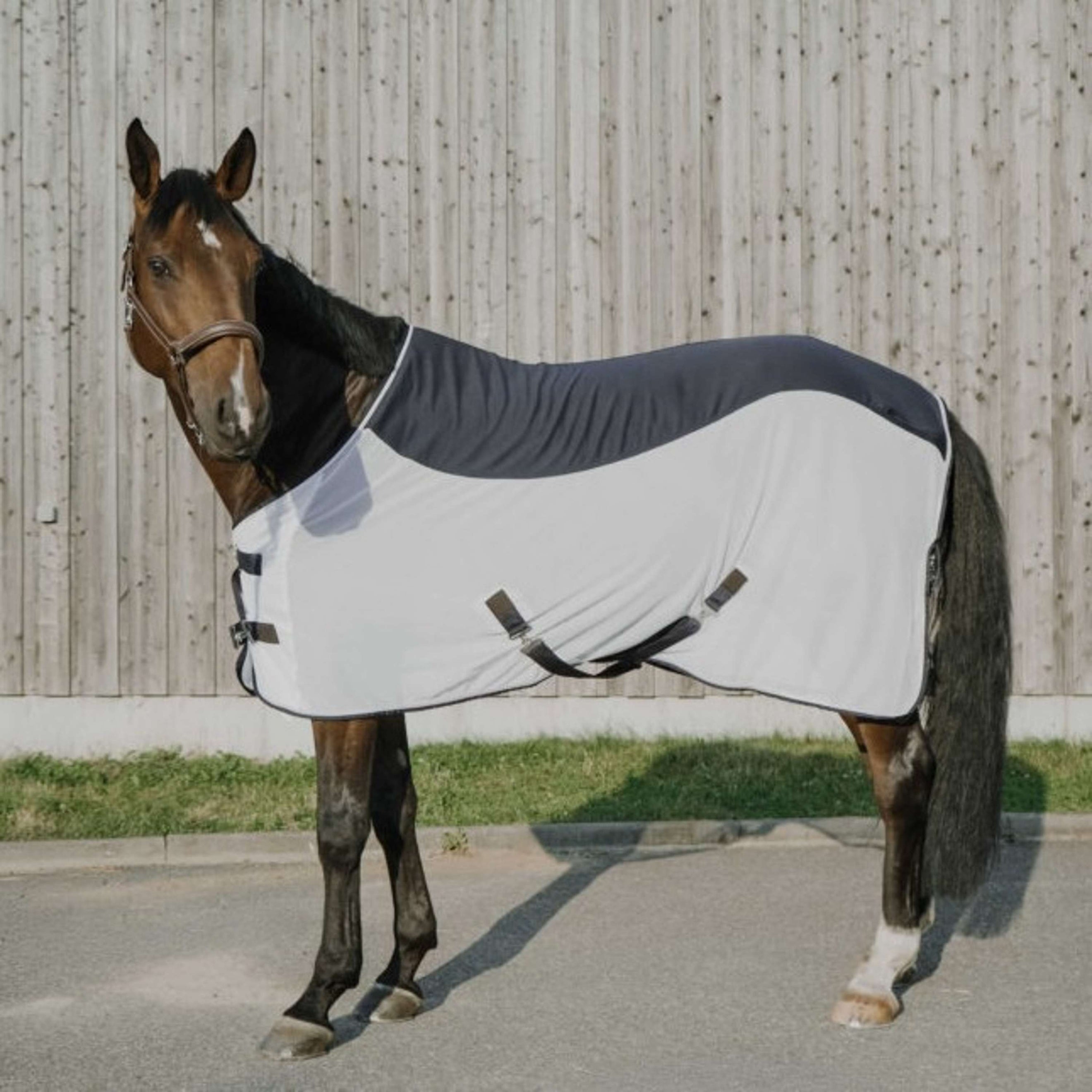 EQUITHÈME Vliegendeken Flycool Standard Navy/Wit