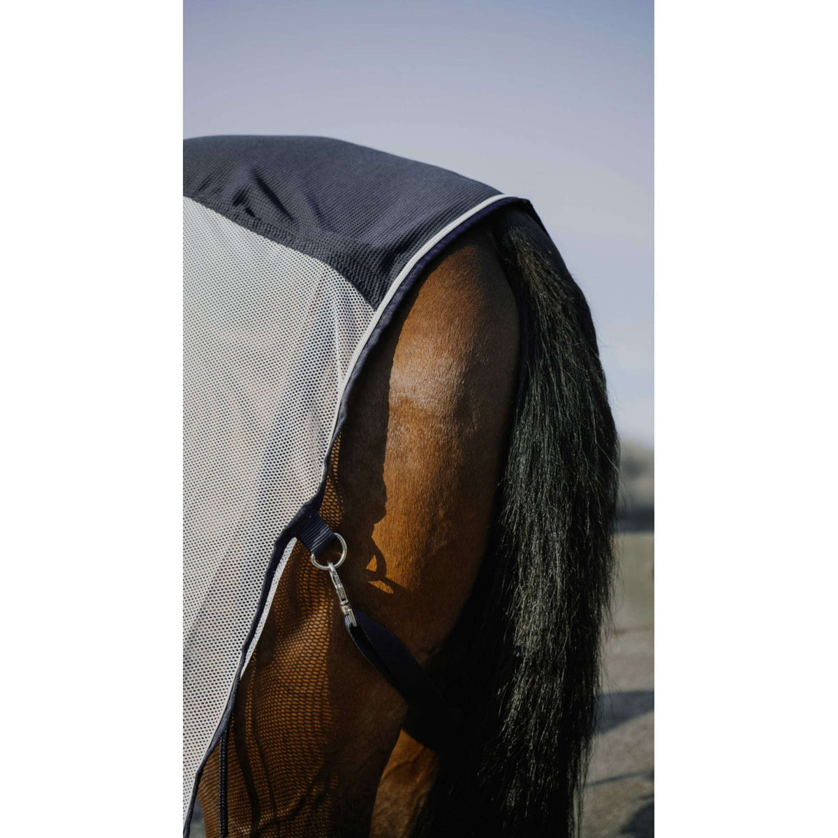 EQUITHÈME Vliegendeken Flycool Standard Navy/Wit