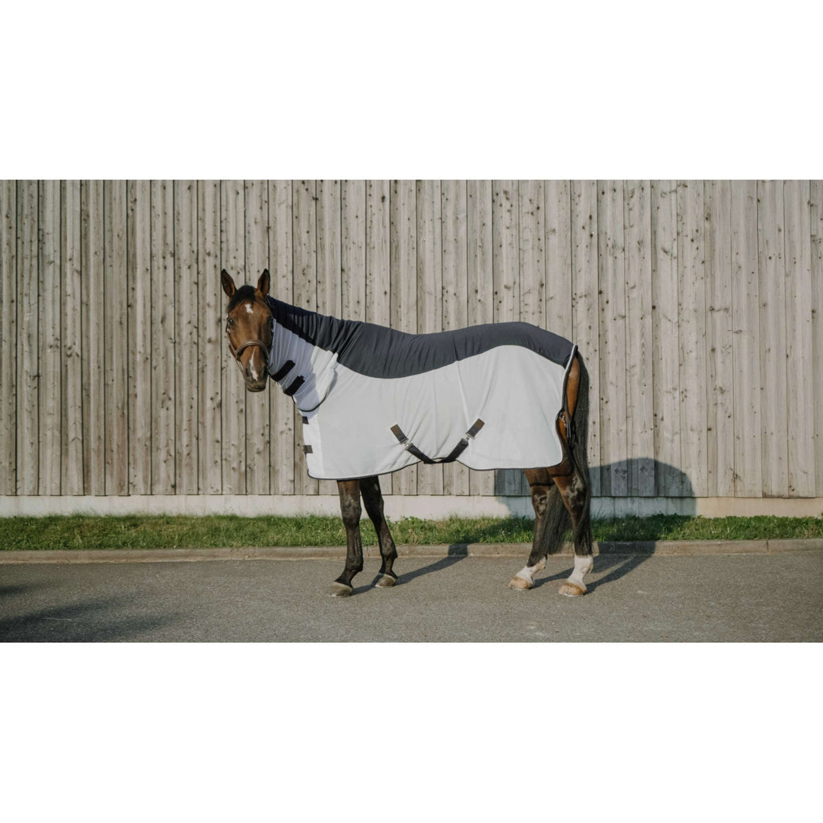 EQUITHÈME Vliegendeken Flycool Combo met Hals Navy/Wit