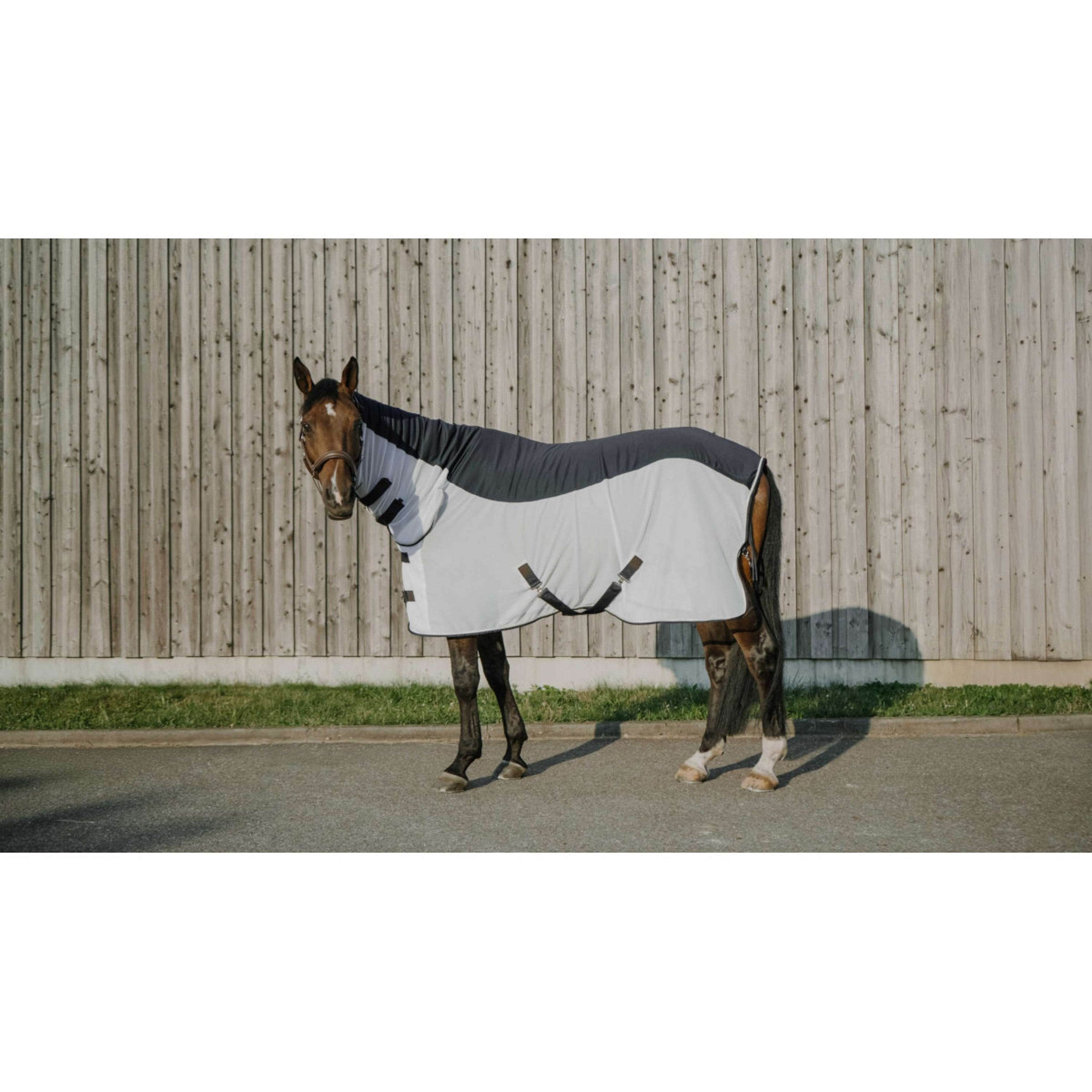 EQUITHÈME Vliegendeken Flycool Combo met Hals Navy/Wit