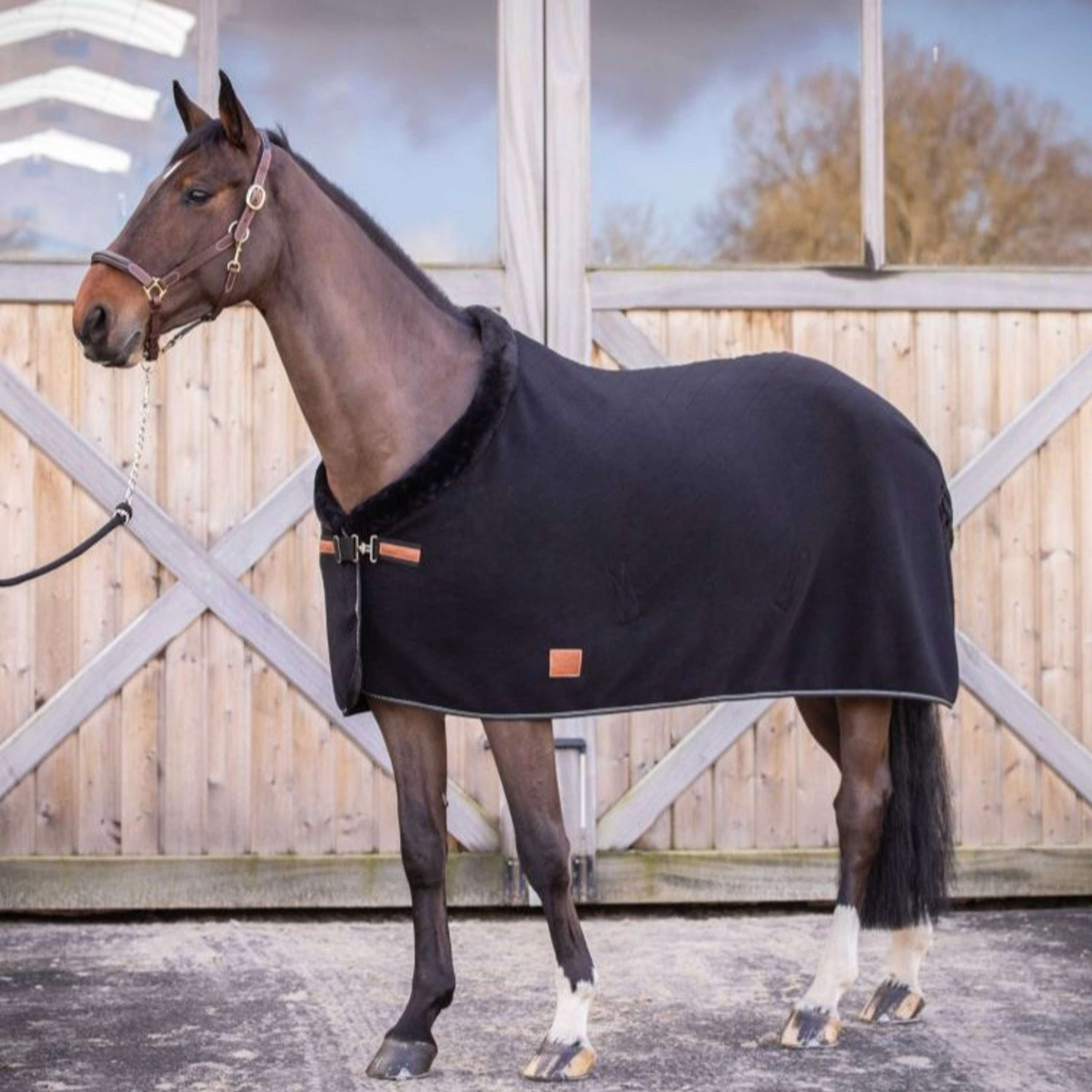 Paddock Zweetdeken Diagonal Zwart