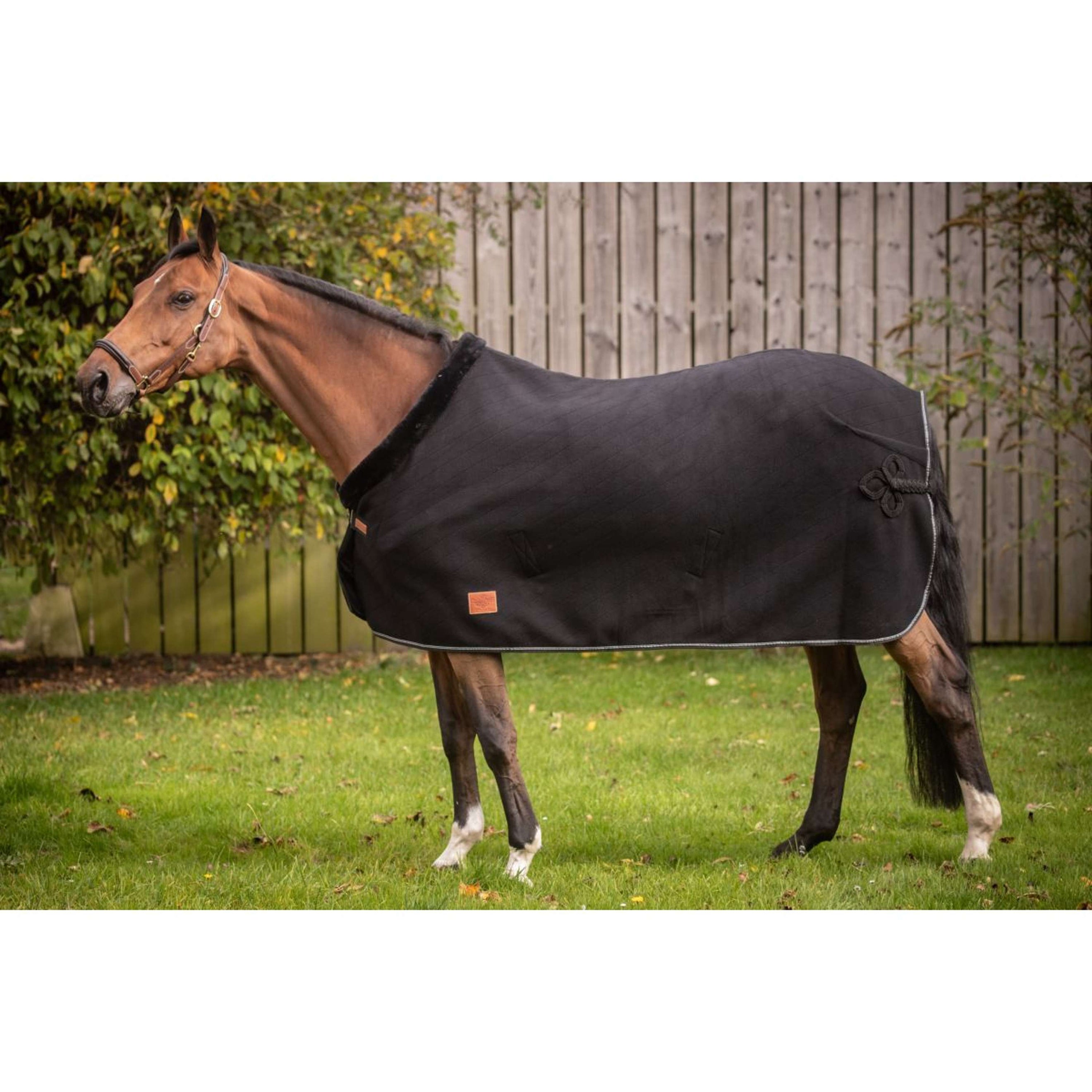 Paddock Zweetdeken Diagonal Zwart