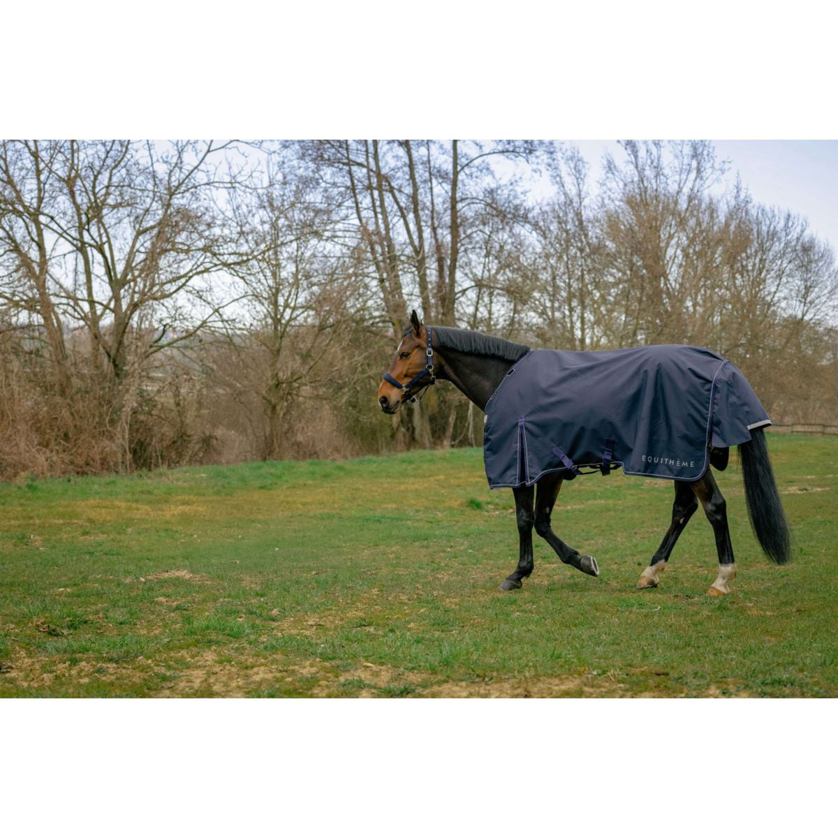 EQUITHÈME Outdoordeken Anatomic 1200D 100g Navy