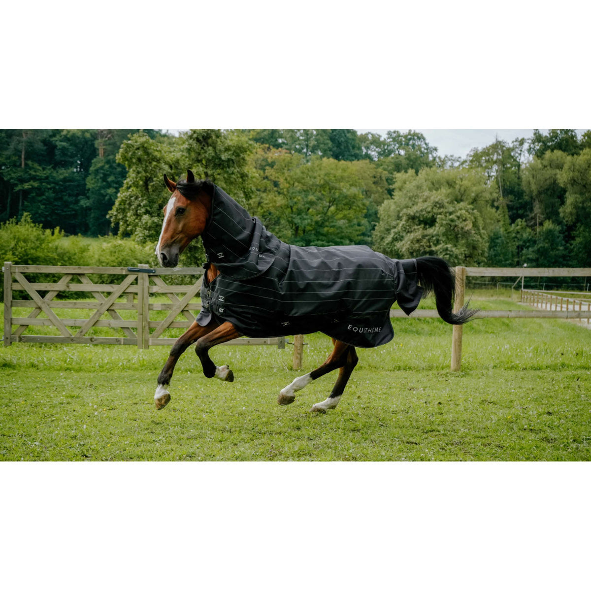 EQUITHÈME Regendeken TYREX Lumin 600D 0g Zwart