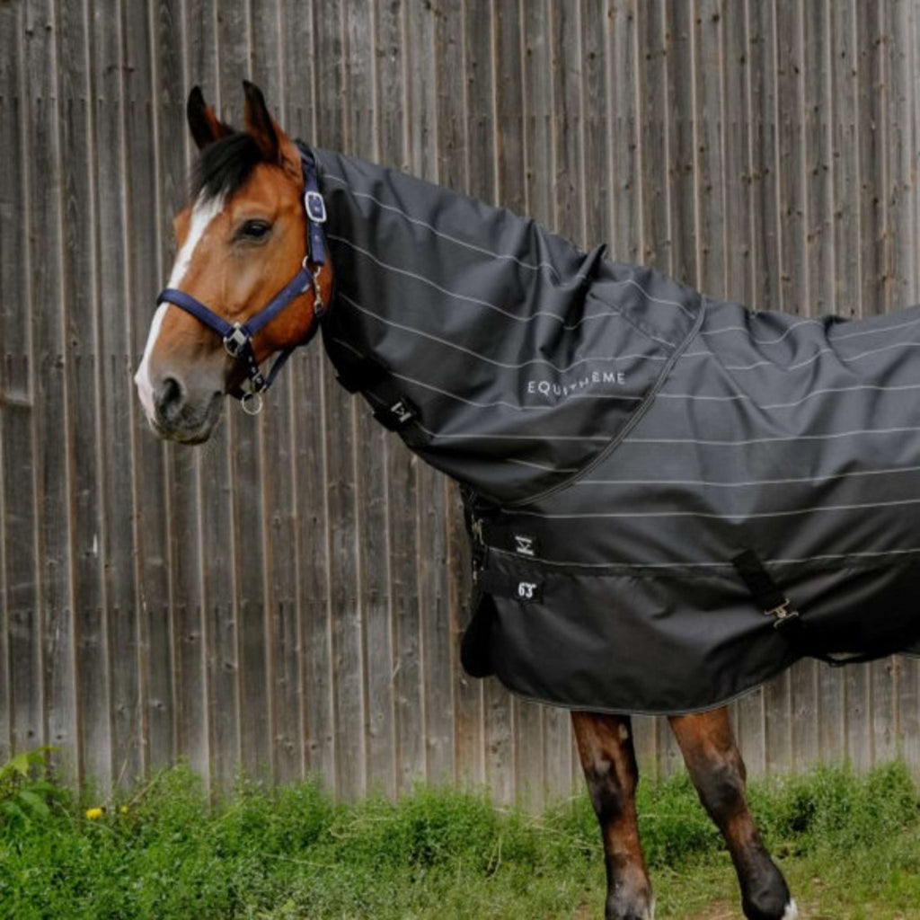 EQUITHÈME Halsstuk TYREX Lumin 600D 0g Zwart
