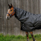 EQUITHÈME Halsstuk TYREX Lumin 600D 0g Zwart