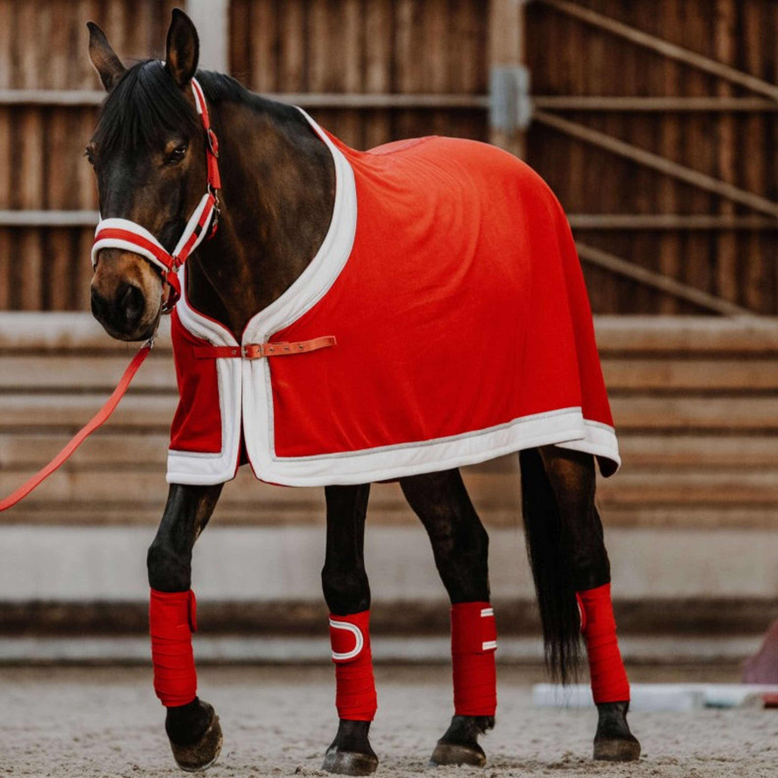 EQUITHÈME Zweetdeken Kerst Fleece Rood