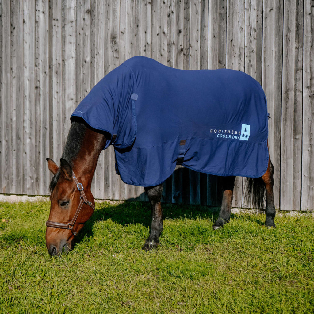 EQUITHÈME Koeldeken Cool& Dry Fresh Combo Marineblauw