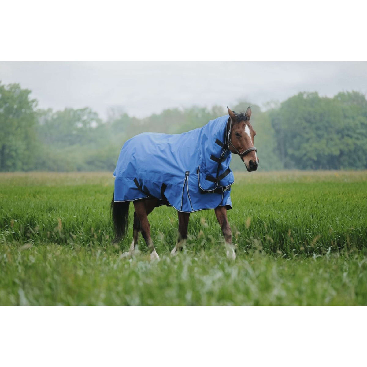 EQUITHÈME Outdoordeken 1200D 100g Aisance Combo Royal Blue