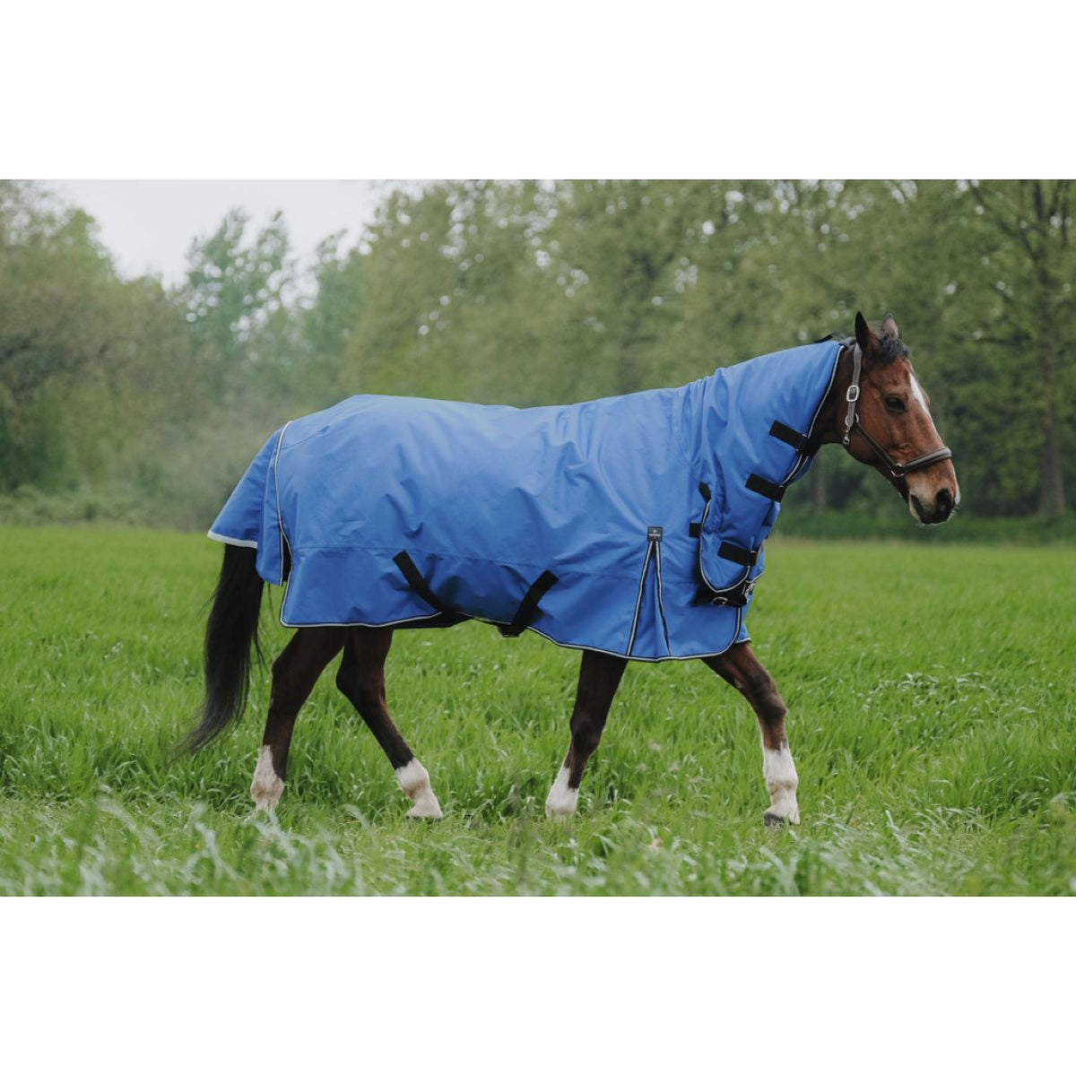 EQUITHÈME Outdoordeken 1200D 300g Aisance Combo Royal Blue