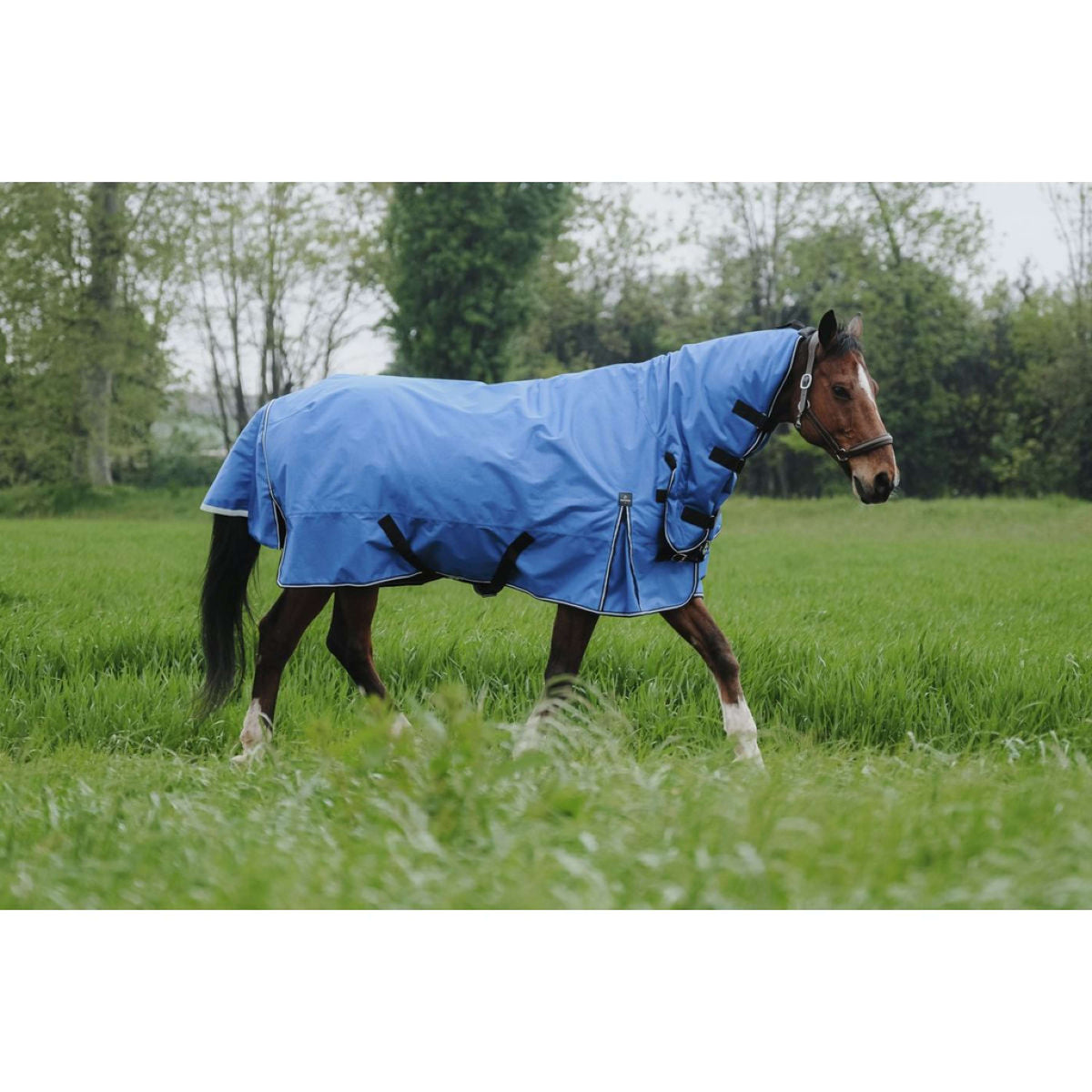 EQUITHÈME Outdoordeken 1200D 100g Aisance Combo Royal Blue