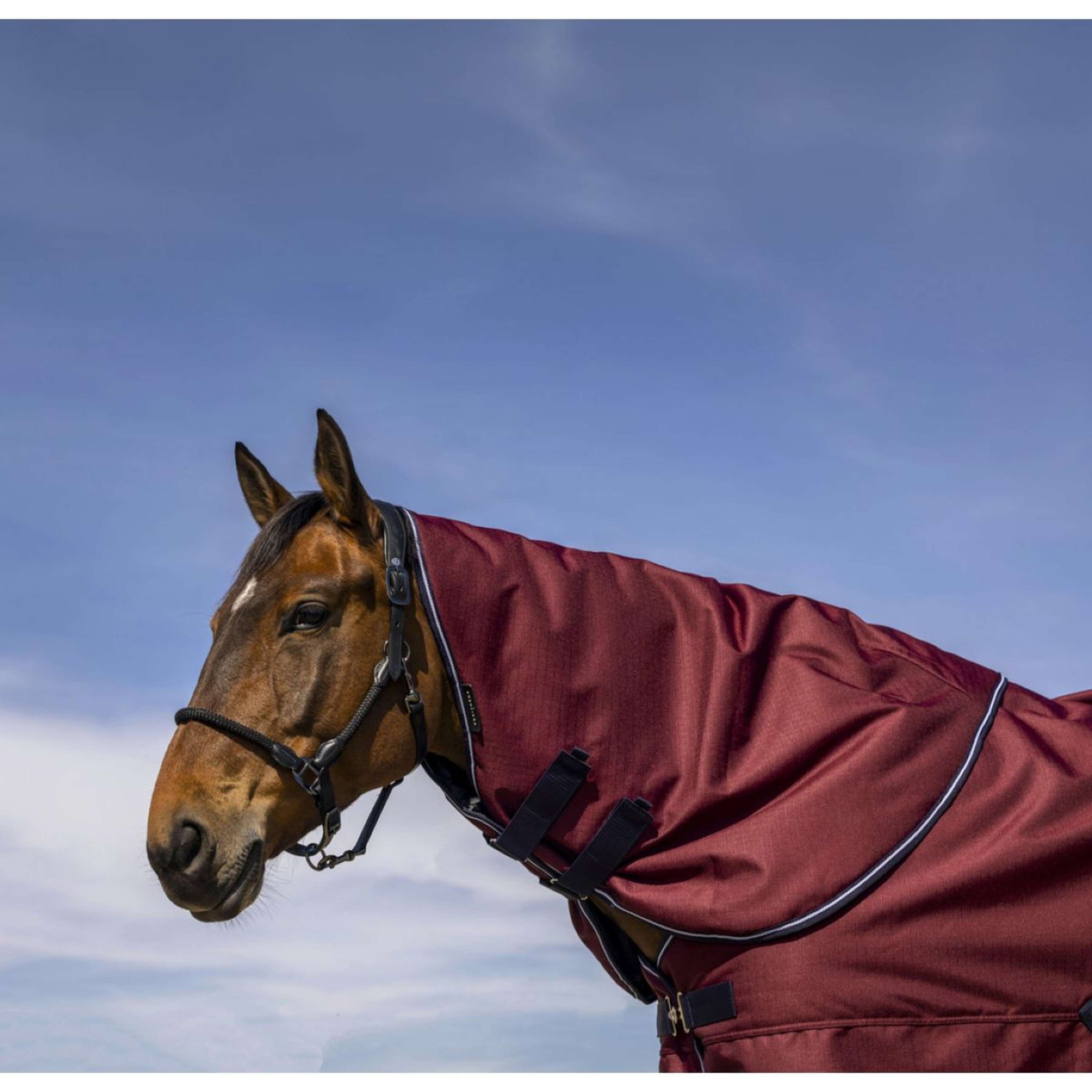 EQUITHÈME Halsstuk Tyrex 1200D 0g Burgundy