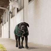 Diego & Louna Hondendeken Polar Groen