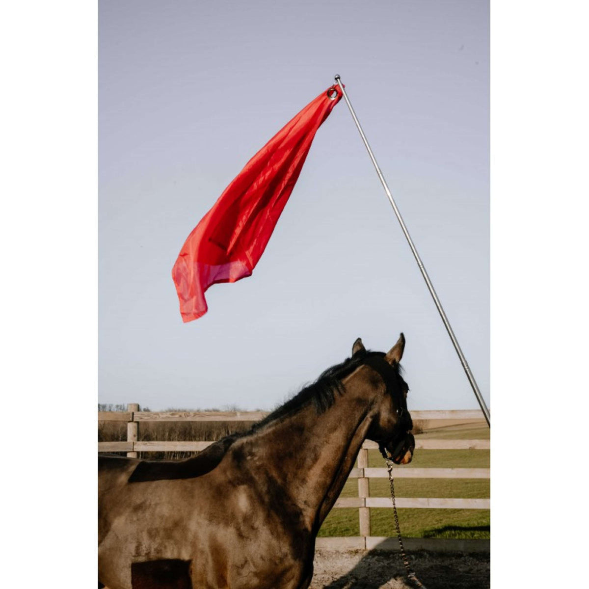Hippotonic Trainingsstok Ethologisch met Vlag Rood