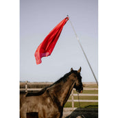 Hippotonic Trainingsstok Ethologisch met Vlag Rood