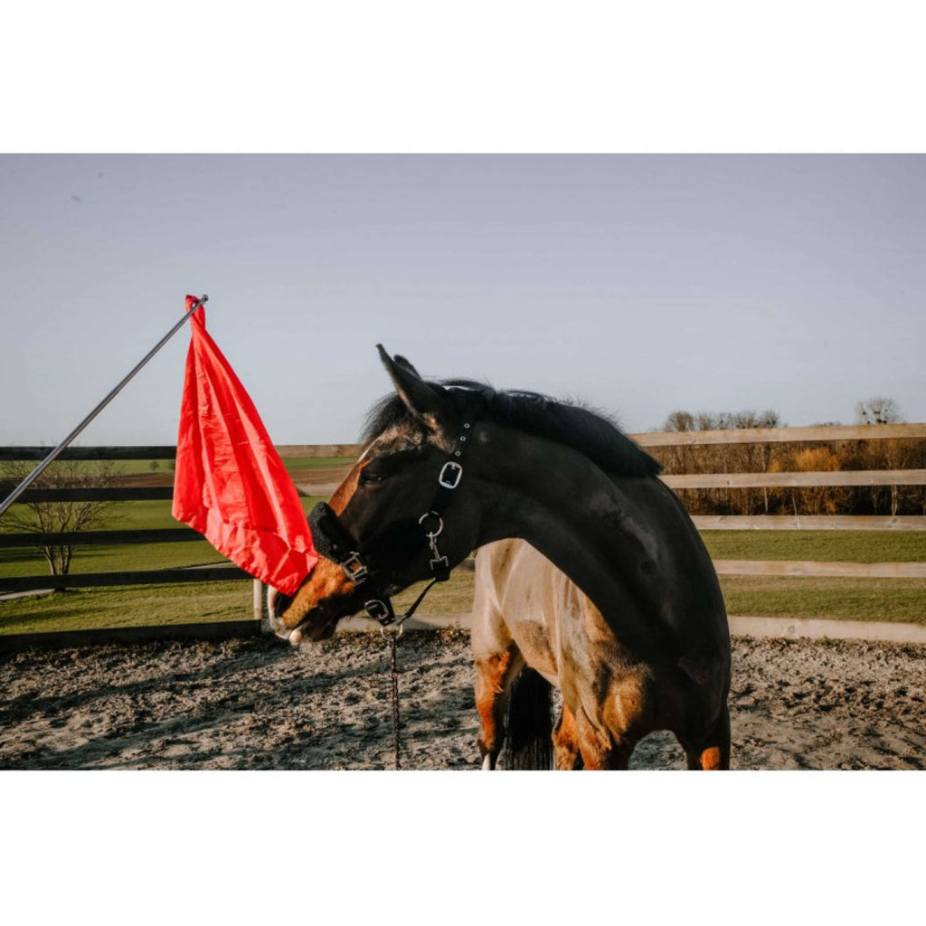 Hippotonic Trainingsstok Ethologisch met Vlag Rood