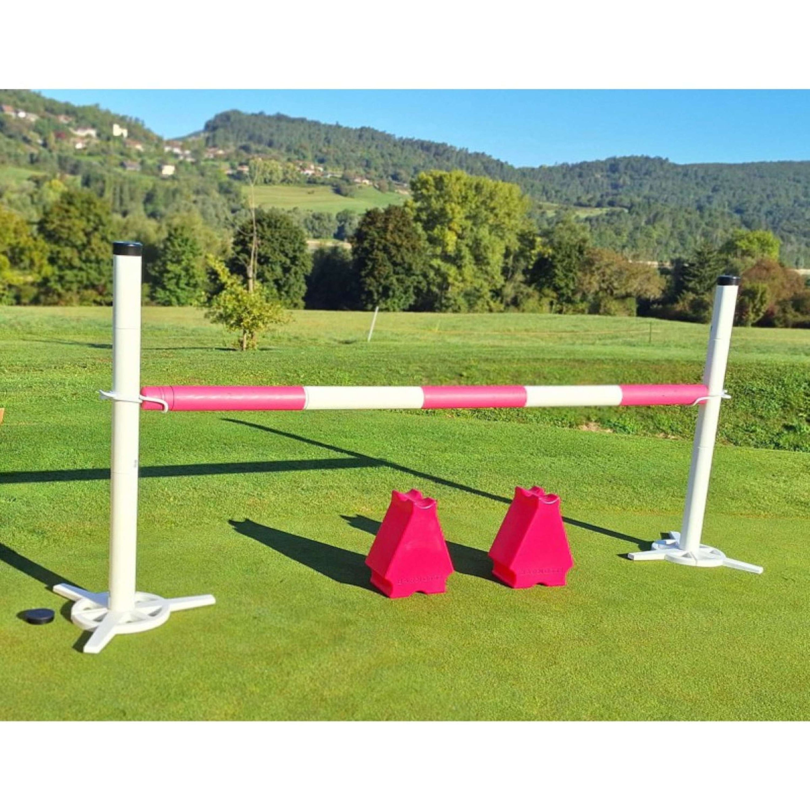 Hippotonic Spring Set met Cavaletti's Roze