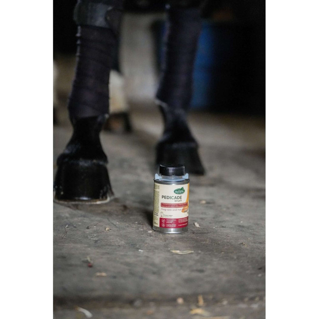 Ravene Pedicade Brush voor Paardenhoeven.