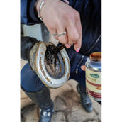 Ravene Pedicade Brush voor Paardenhoeven.